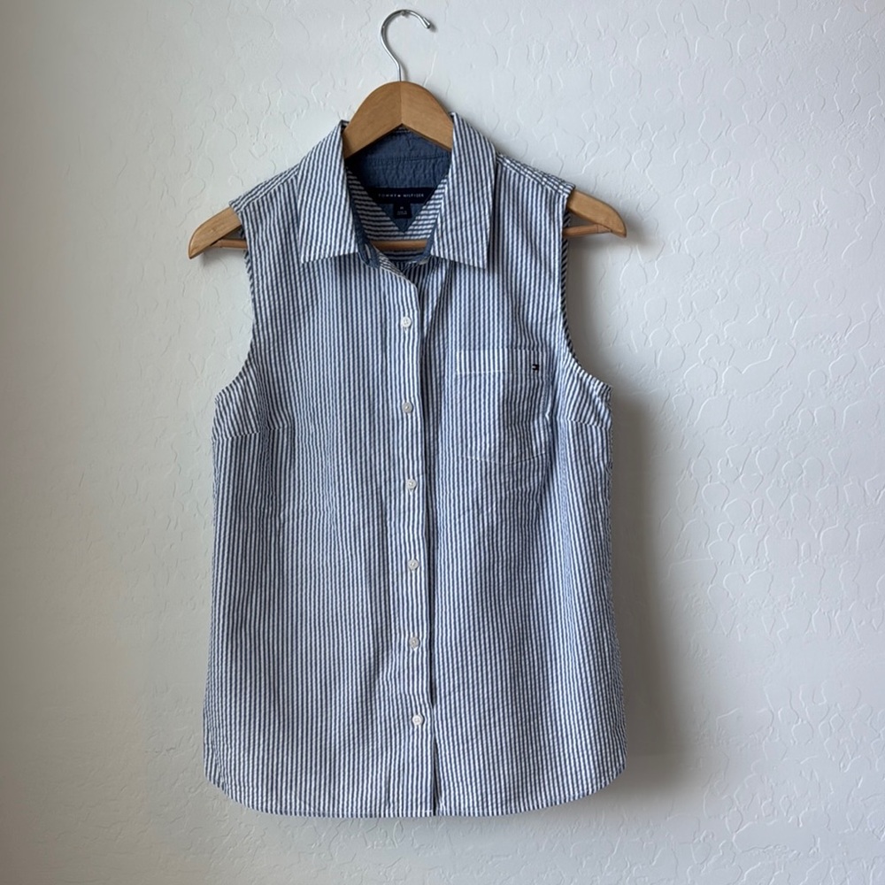 Tommy Hilfiger Blue and White Striped Shirt